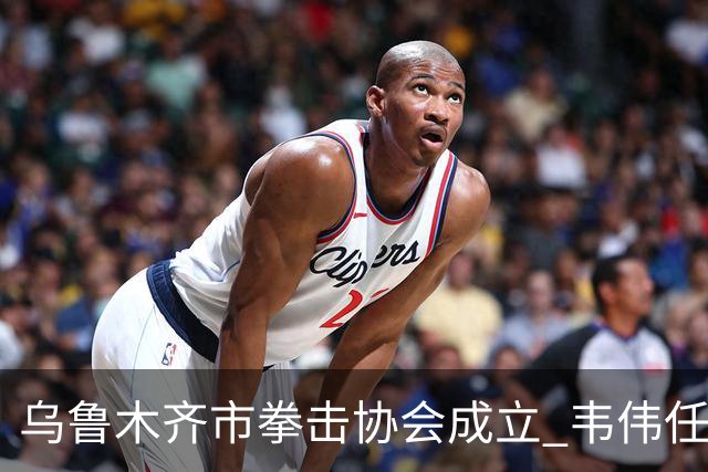 乌鲁木齐市拳击协会成立 韦伟任会长